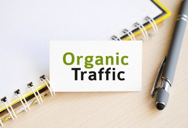 Website Organic Traffic